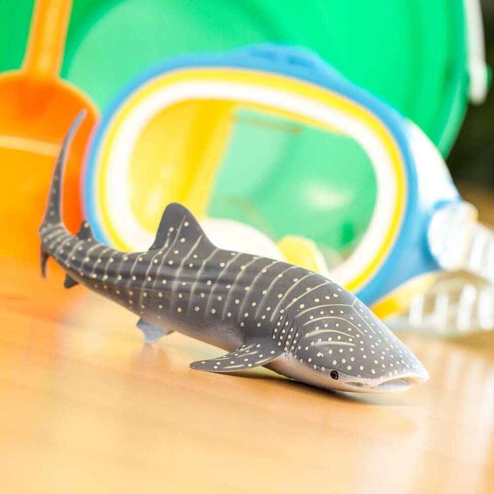 Safari Ltd Whale Shark Figurine Detailed 7.25" Aquatic Figure Educational Toy C8